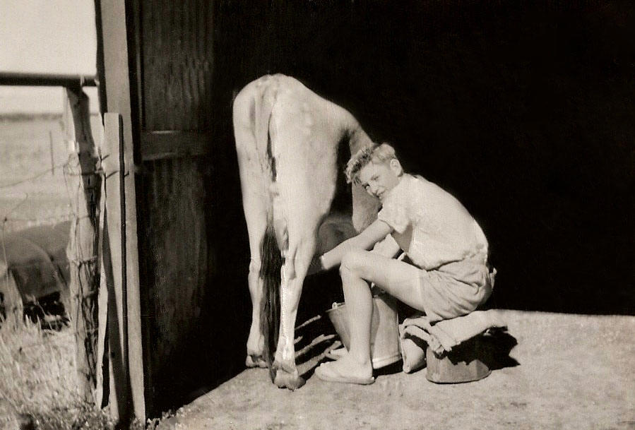 Milking in Coorow