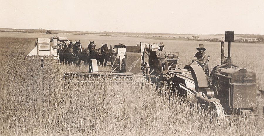 Harvest on Roger Clark's Farm in Carnamah